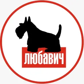 Любавич в Дзене!